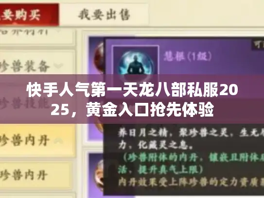 快手人气第一天龙八部私服2025，黄金入口抢先体验