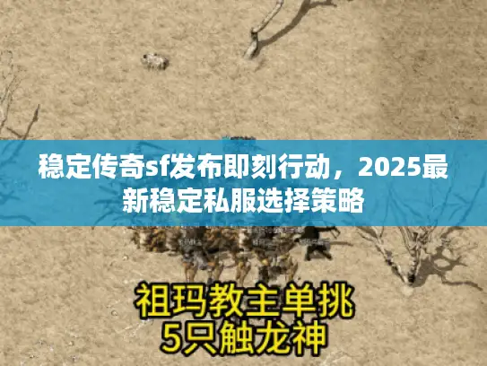稳定传奇sf发布即刻行动，2025最新稳定私服选择策略