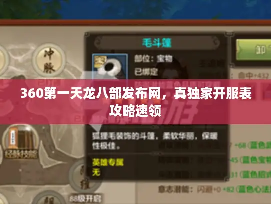 360第一天龙八部发布网，真独家开服表攻略速领