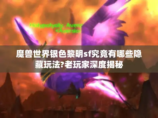 魔兽世界银色黎明sf究竟有哪些隐藏玩法?老玩家深度揭秘