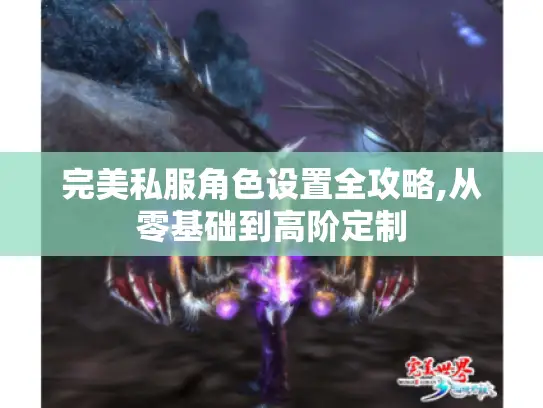完美私服角色设置全攻略,从零基础到高阶定制