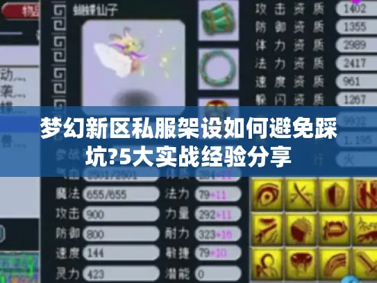 梦幻新区私服架设如何避免踩坑?5大实战经验分享