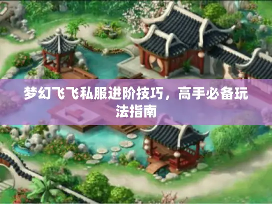 梦幻飞飞私服进阶技巧,高手必备玩法指南 梦幻飞飞私服进阶技巧,高手必备玩法指南