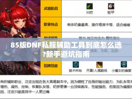 85版DNF私服辅助工具到底怎么选?新手避坑指南