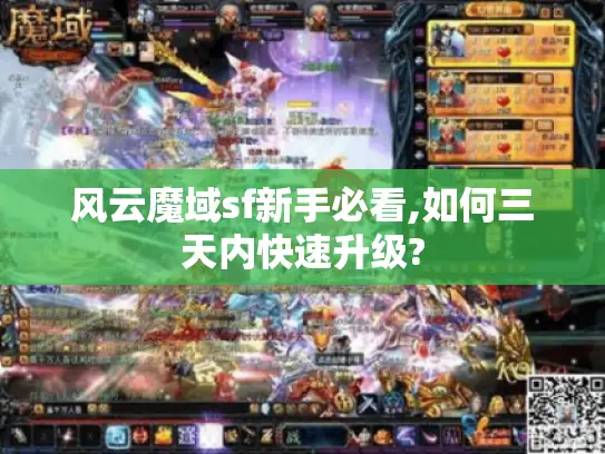 风云魔域sf新手必看,如何三天内快速升级?