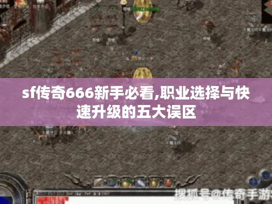 sf传奇666新手必看,职业选择与快速升级的五大误区