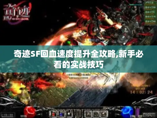 奇迹SF回血速度提升全攻略,新手必看的实战技巧