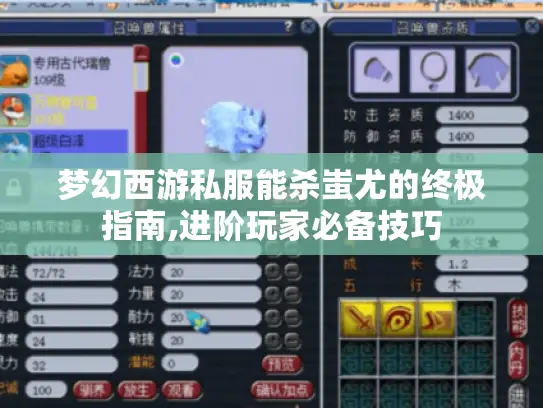 梦幻西游私服能杀蚩尤的终极指南,进阶玩家必备技巧