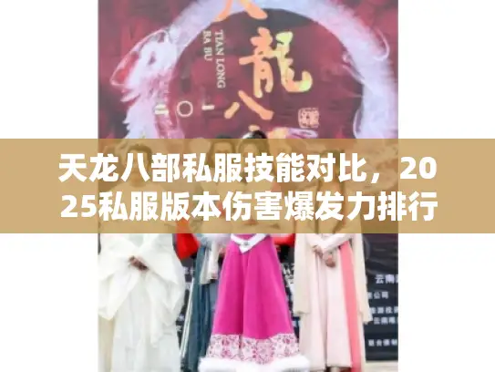 天龙八部私服技能对比,2025私服版本伤害爆发力排行榜 天龙八部私服技能对比,2025私服版本伤害爆发力排行榜