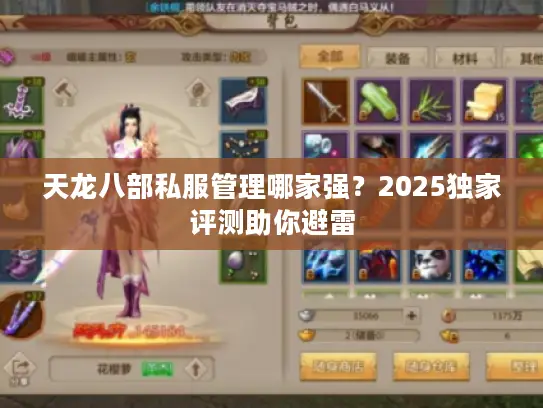 天龙八部私服管理哪家强？2025独家评测助你避雷