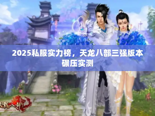 2025私服实力榜，天龙八部三强版本碾压实测