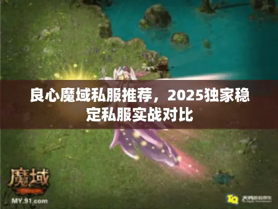 良心魔域私服推荐,2025独家稳定私服实战对比 良心魔域私服推荐,2025独家稳定私服实战对比