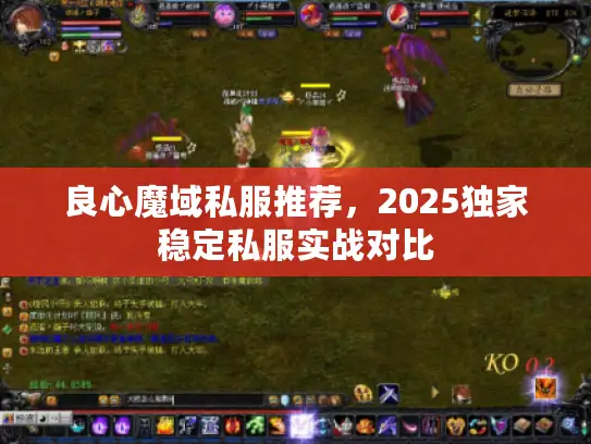 良心魔域私服推荐,2025独家稳定私服实战对比 良心魔域私服推荐,2025独家稳定私服实战对比