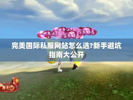 完美国际私服网站怎么选?新手避坑指南大公开