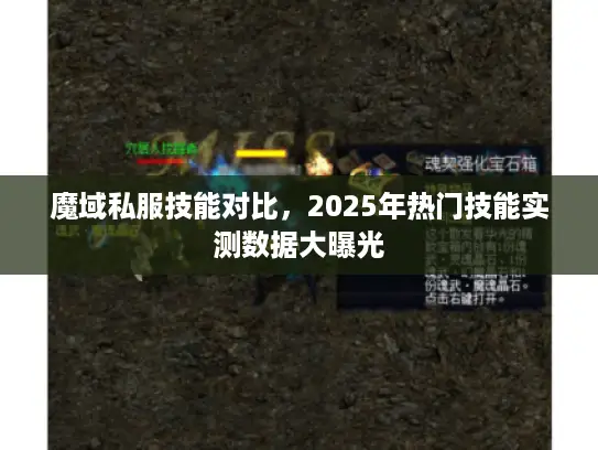 魔域私服技能对比，2025年热门技能实测数据大曝光