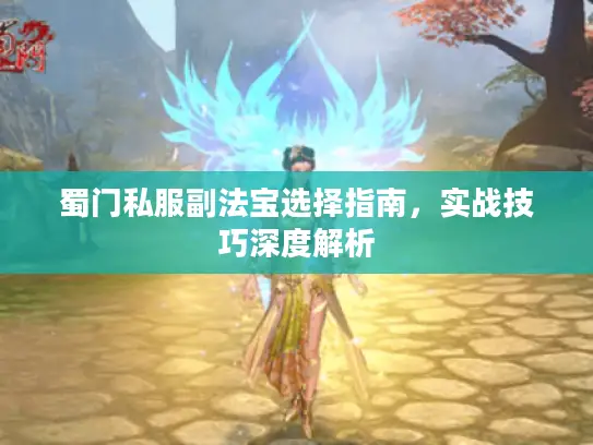 蜀门私服副法宝选择指南，实战技巧深度解析