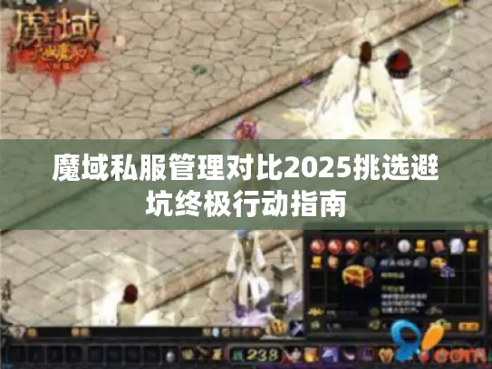魔域私服管理对比2025挑选避坑终极行动指南