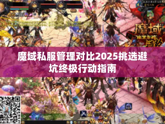 魔域私服管理对比2025挑选避坑终极行动指南
