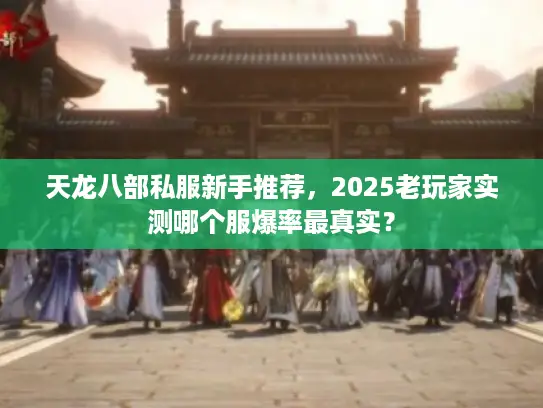 天龙八部私服新手推荐，2025老玩家实测哪个服爆率最真实？
