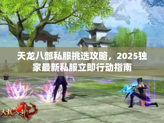 天龙八部私服挑选攻略，2025独家最新私服立即行动指南