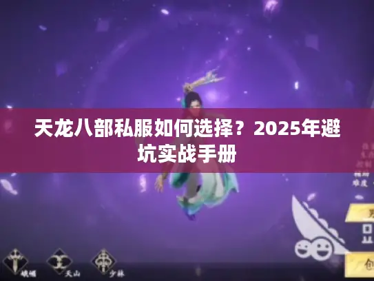 天龙八部私服如何选择？2025年避坑实战手册
