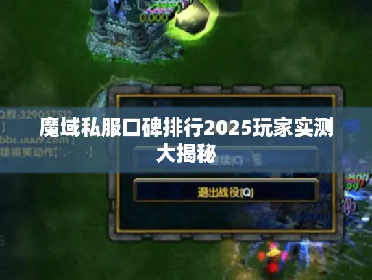 魔域私服口碑排行2025玩家实测大揭秘
