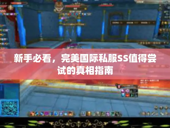新手必看,完美国际私服SS值得尝试的真相指南 新手必看,完美国际私服SS值得尝试的真相指南