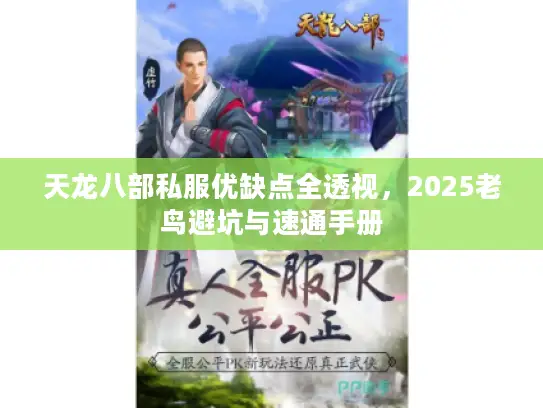 天龙八部私服优缺点全透视，2025老鸟避坑与速通手册