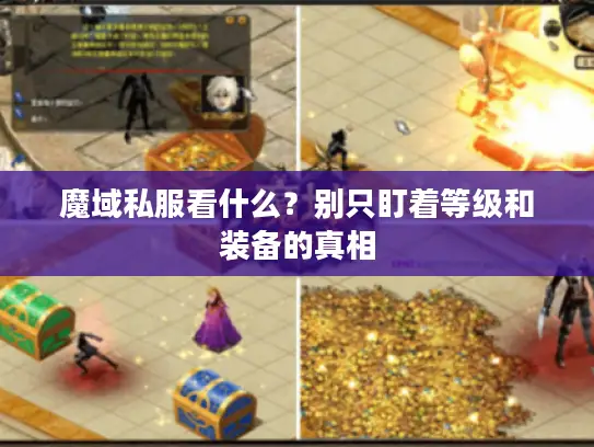 魔域私服看什么?别只盯着等级和装备的真相 魔域私服看什么?别只盯着等级和装备的真相