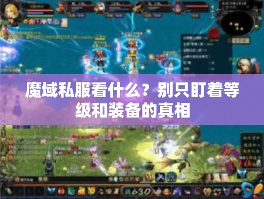 魔域私服看什么?别只盯着等级和装备的真相 魔域私服看什么?别只盯着等级和装备的真相