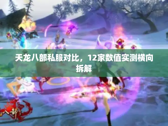 天龙八部私服对比,12家数值实测横向拆解 天龙八部私服对比,12家数值实测横向拆解