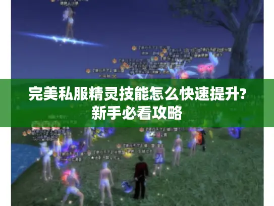 完美私服精灵技能怎么快速提升?新手必看攻略