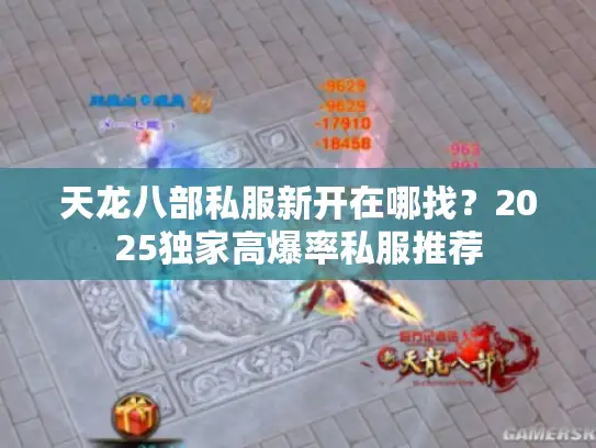 天龙八部私服新开在哪找？2025独家高爆率私服推荐