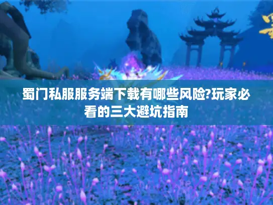 蜀门私服服务端下载有哪些风险?玩家必看的三大避坑指南