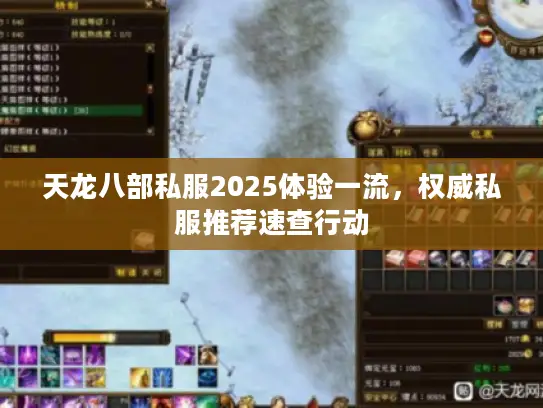 天龙八部私服2025体验一流，权威私服推荐速查行动