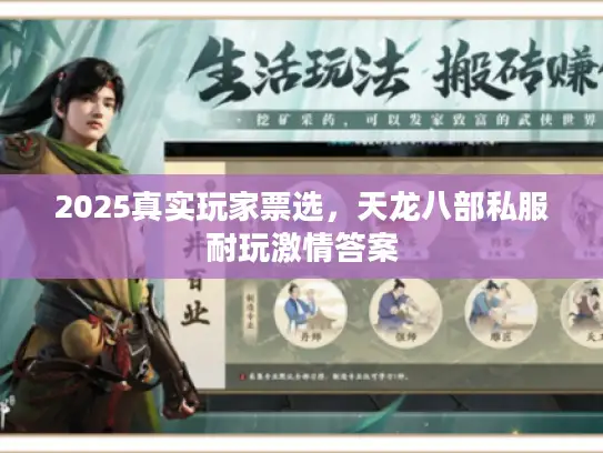2025真实玩家票选,天龙八部私服耐玩激情答案 2025真实玩家票选,天龙八部私服耐玩激情答案