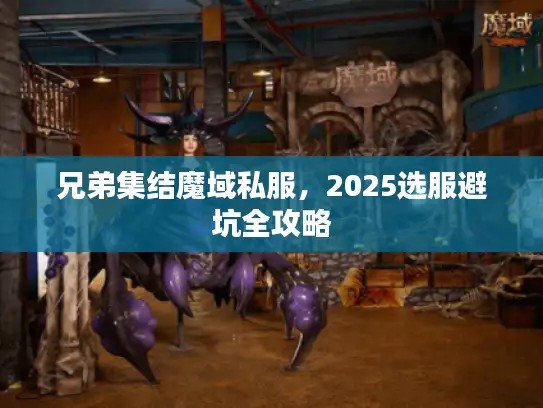 兄弟集结魔域私服,2025选服避坑全攻略 兄弟集结魔域私服,2025选服避坑全攻略