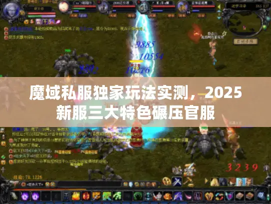 魔域私服独家玩法实测，2025新服三大特色碾压官服
