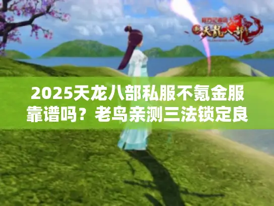 2025天龙八部私服不氪金服靠谱吗？老鸟亲测三法锁定良心服