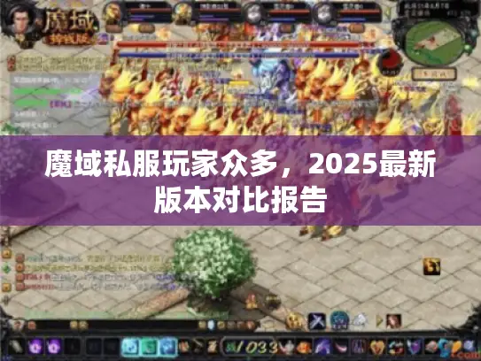 魔域私服玩家众多,2025最新版本对比报告 魔域私服玩家众多,2025最新版本对比报告