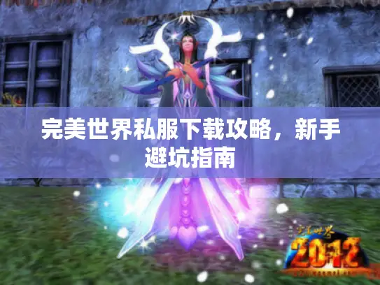 完美世界私服下载攻略，新手避坑指南