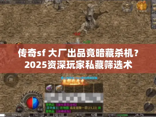 传奇sf 大厂出品竟暗藏杀机？2025资深玩家私藏筛选术