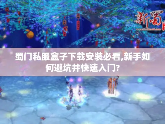 蜀门私服盒子下载安装必看,新手如何避坑并快速入门?