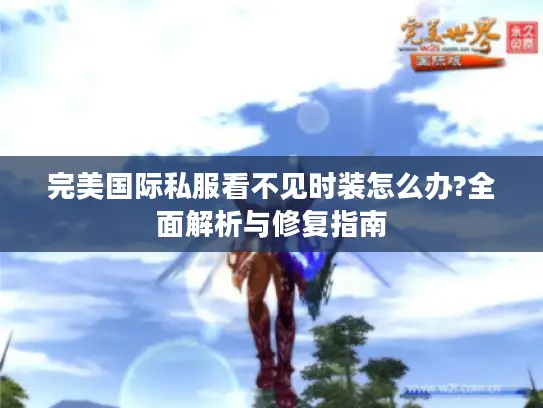 完美国际私服看不见时装怎么办?全面解析与修复指南