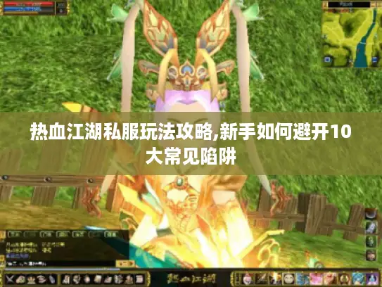 热血江湖私服玩法攻略,新手如何避开10大常见陷阱