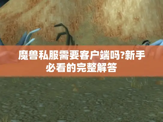 魔兽私服需要客户端吗?新手必看的完整解答