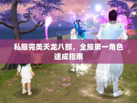 私服完美天龙八部,全服第一角色速成指南 私服完美天龙八部,全服第一角色速成指南