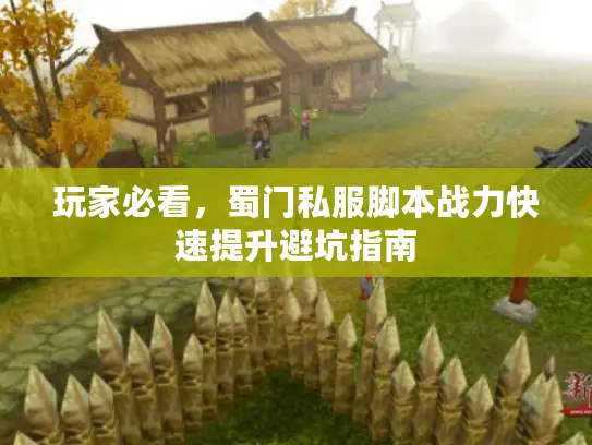 玩家必看，蜀门私服脚本战力快速提升避坑指南