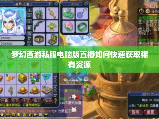 梦幻西游私服电脑版直播如何快速获取稀有资源