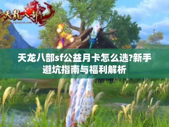 天龙八部sf公益月卡怎么选?新手避坑指南与福利解析